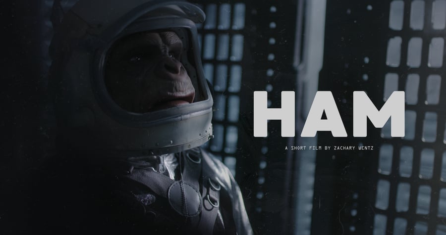 Image of Ham Digital Download