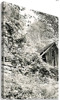 Image 3 of The Prisoner