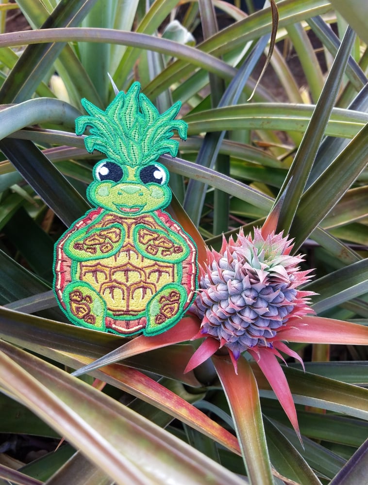 Image of Honu pineapple