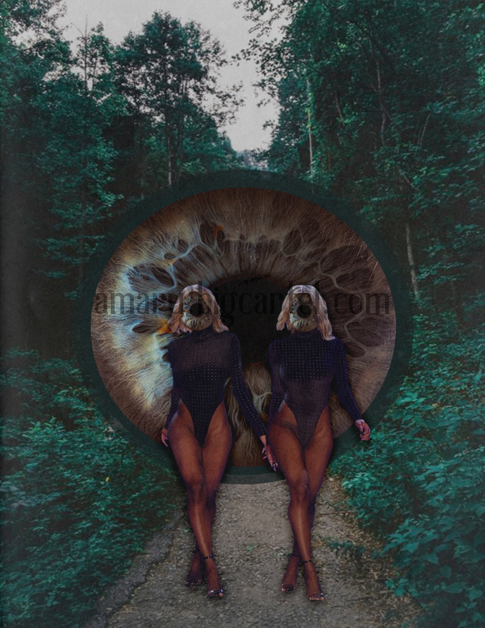 Image of "Double Vision" Print 