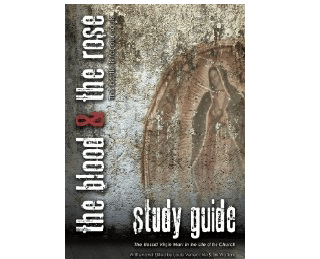 Image of The Blessed Virgin Mary in the Life of the Church – Study Guide