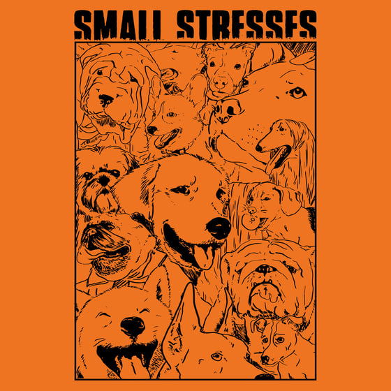 Image of Small Stresses - Swim EP CS