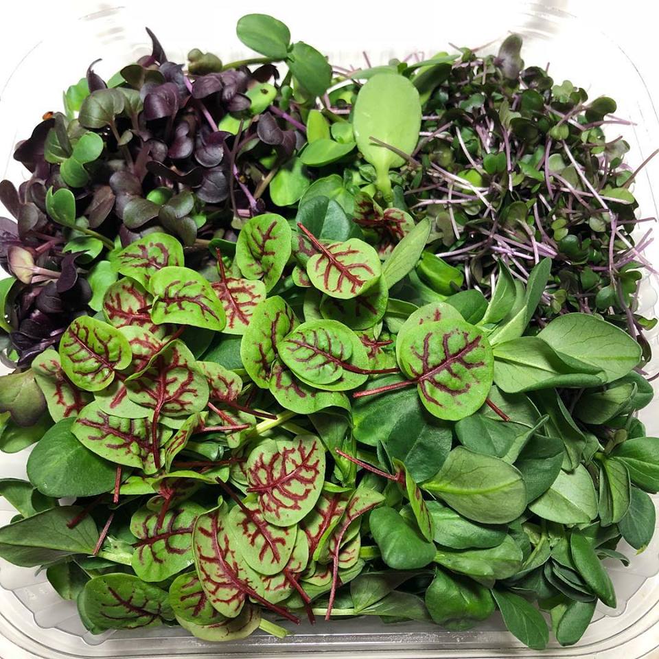 Image of 1-3 Time Purchase Microgreen Mix Delivered to Your Door *Local Delivery Only FREE