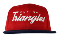 Image 1 of AGGRO Brand "Flying Triangles" Jiu-Jitsu Snapback Hat