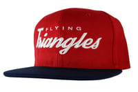 Image 2 of AGGRO Brand "Flying Triangles" Jiu-Jitsu Snapback Hat