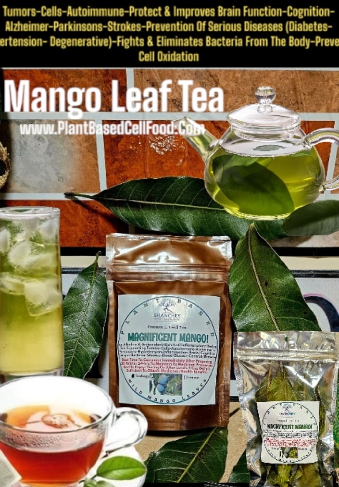 Magnificent Mango! Wild Mango Leaf Tea-Tumors-Cells-Autoimmune-Alzheimer-Parkinsons-Strokes