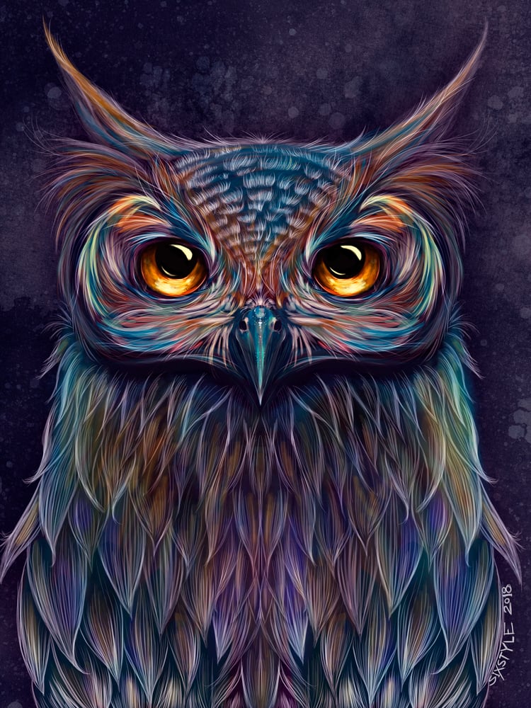 Image of Owl