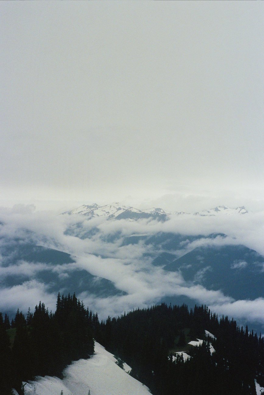 Image of we would not be so scared of meeting love & lying down