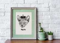 Image 1 of Queen Kitty - Sphynx Cat Illustration print