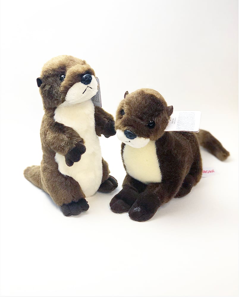 Image of Stuffed Otter