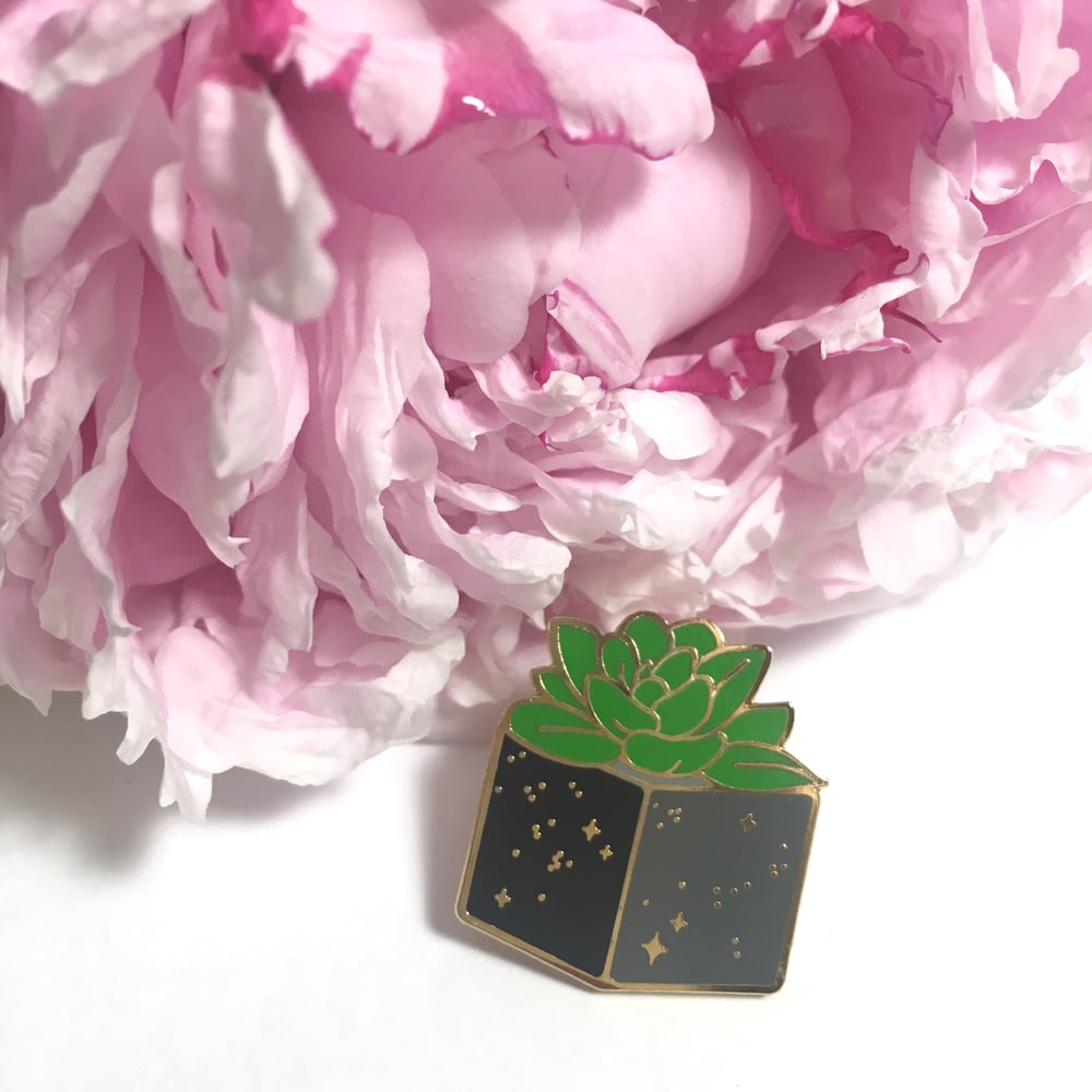 Image of desert greenery | 1" & 1.25" enamel pins