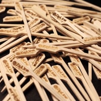 Image 2 of Paddle Pick