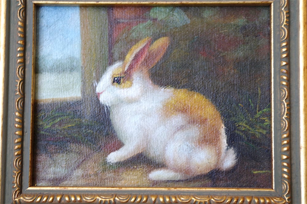 Image of Petit Lapin