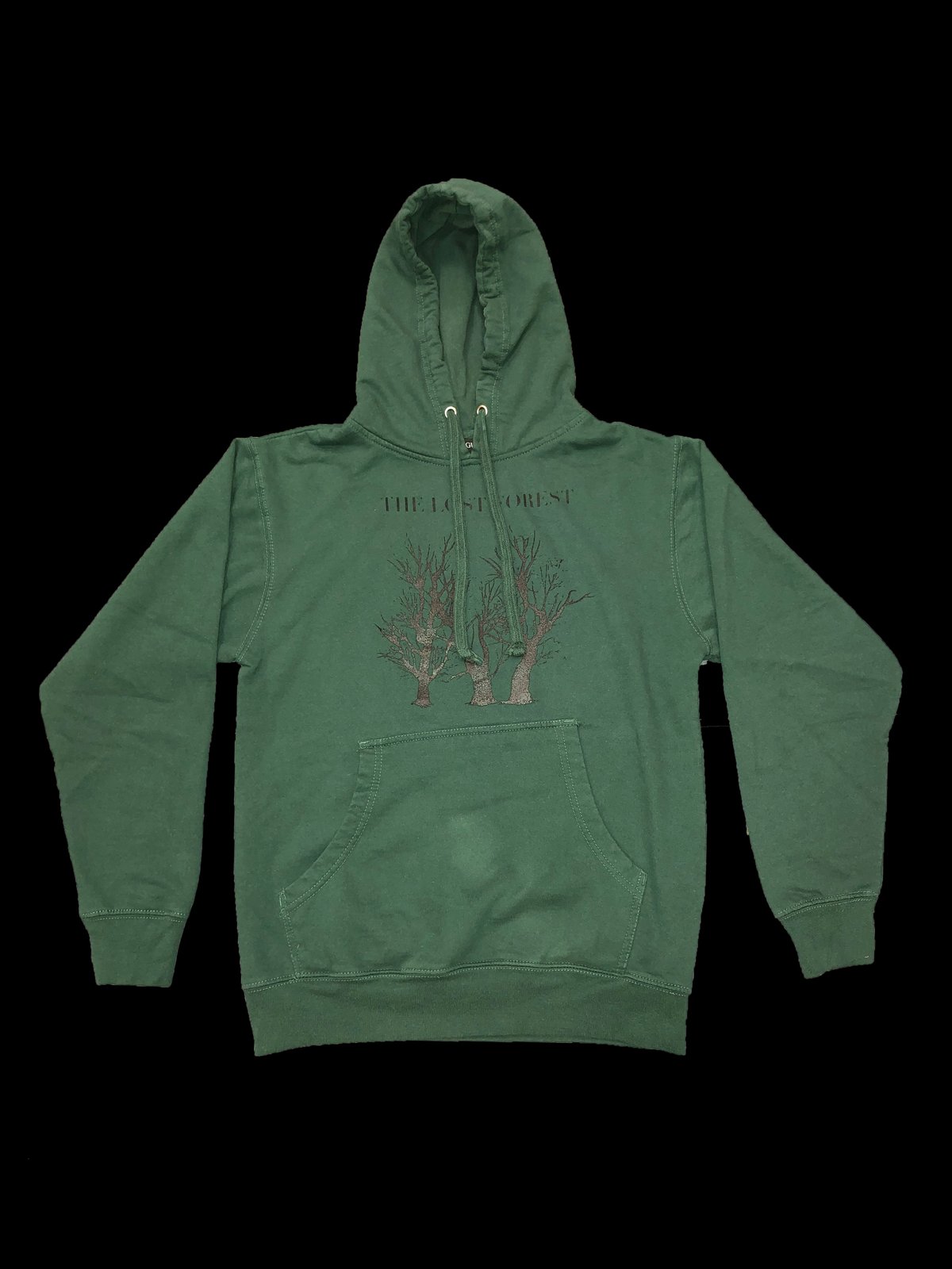 Image of Lost Forest "Green" Hoodie