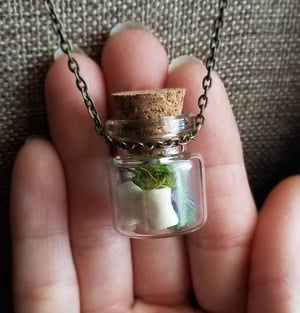 Image of Wolf Bone and Amethyst Curio Bottle Necklace