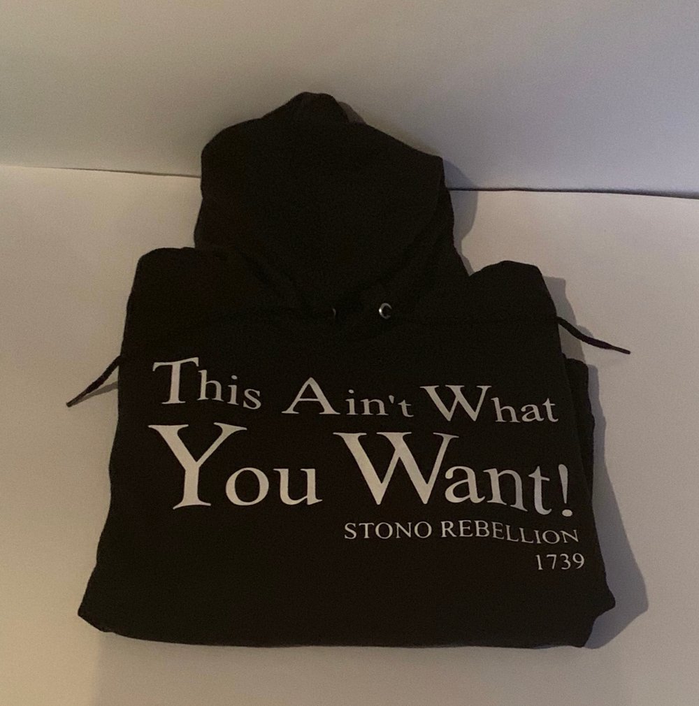 Image of THIS AIN’T WHAT YOU WANT! STONO REBELLION 1739 IN T-SHIRT, SWEATSHIRT, HOODIE
