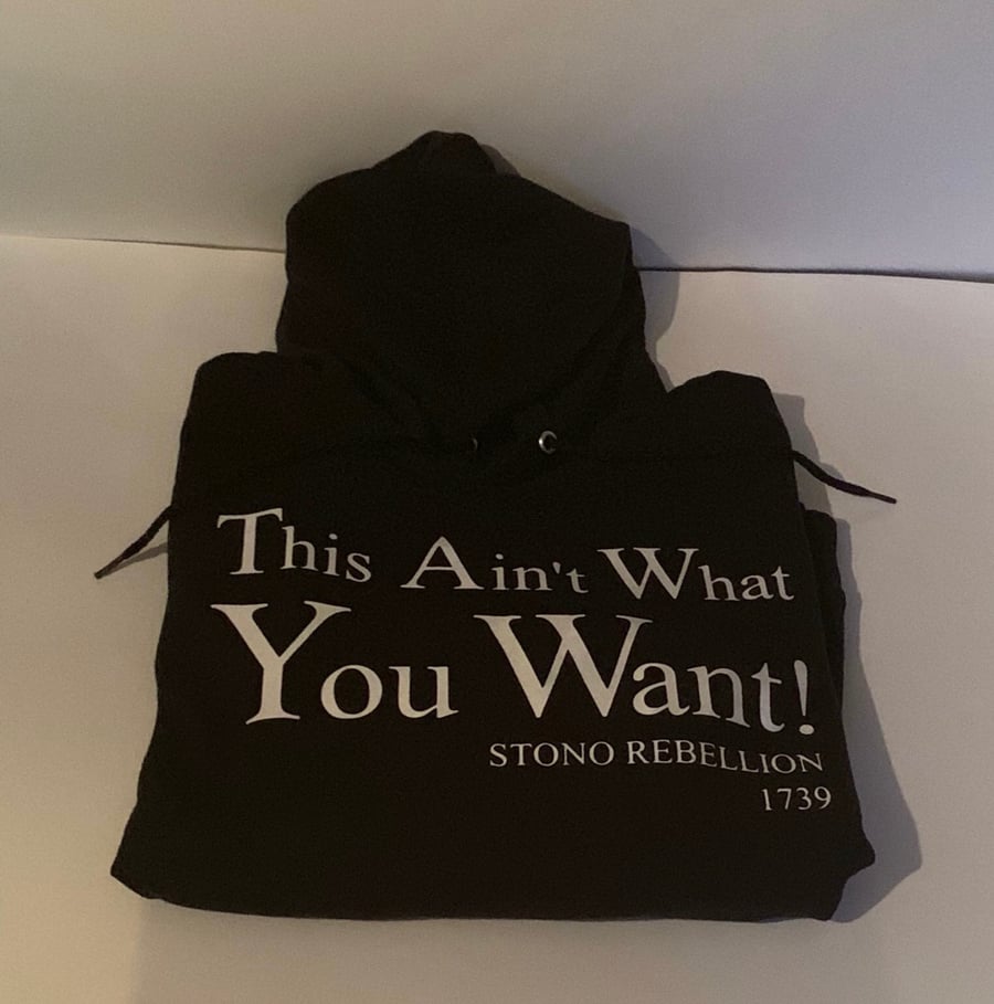 Image of THIS AIN’T WHAT YOU WANT! STONO REBELLION 1739 IN T-SHIRT, SWEATSHIRT, HOODIE 