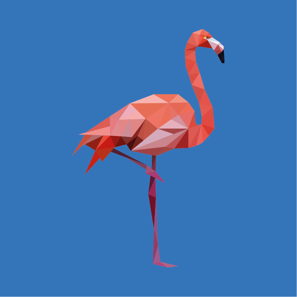 Image of Flamingo