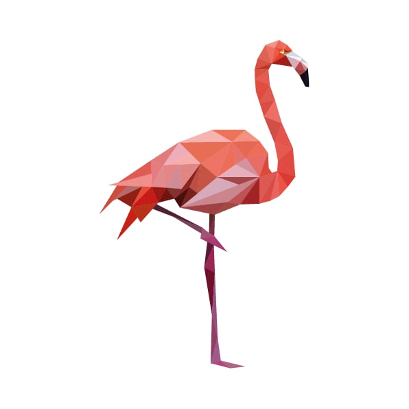 Image of Flamingo