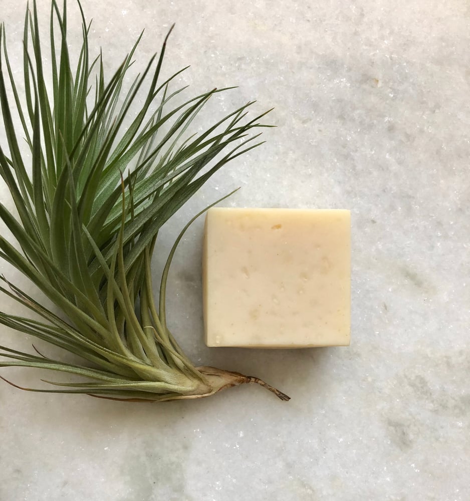 Image of Cocoa Butter Beard Bar