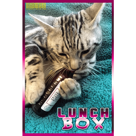Lunchbox - (Various Posters)