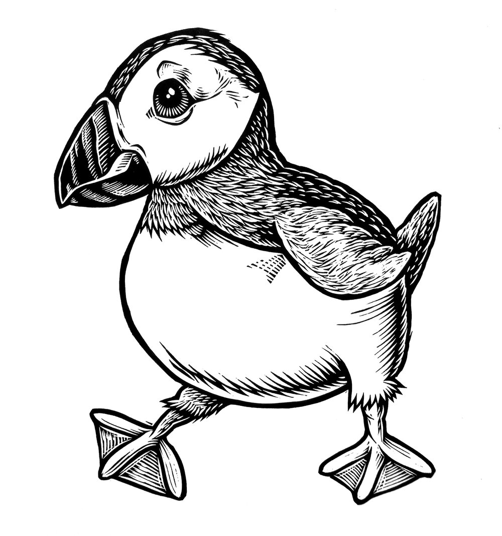 Puffin T-shirt (A1) **FREE SHIPPING**