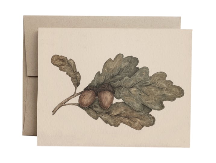 Image of Acorns Greeting Card