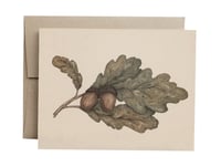 Image 1 of Acorns Greeting Card