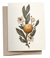 Image 1 of Clementine Greeting Card