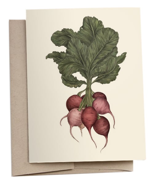 Image of Radishes Greeting Card