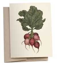 Image 1 of Radishes Greeting Card