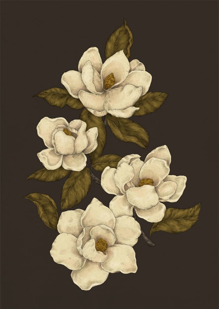Image of Magnolias Print