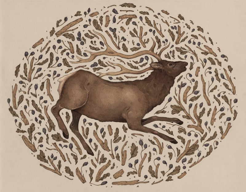 Image of Elk in Nature Print