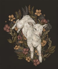 Lamb Print