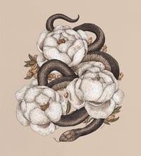 Snake and Peonies Print