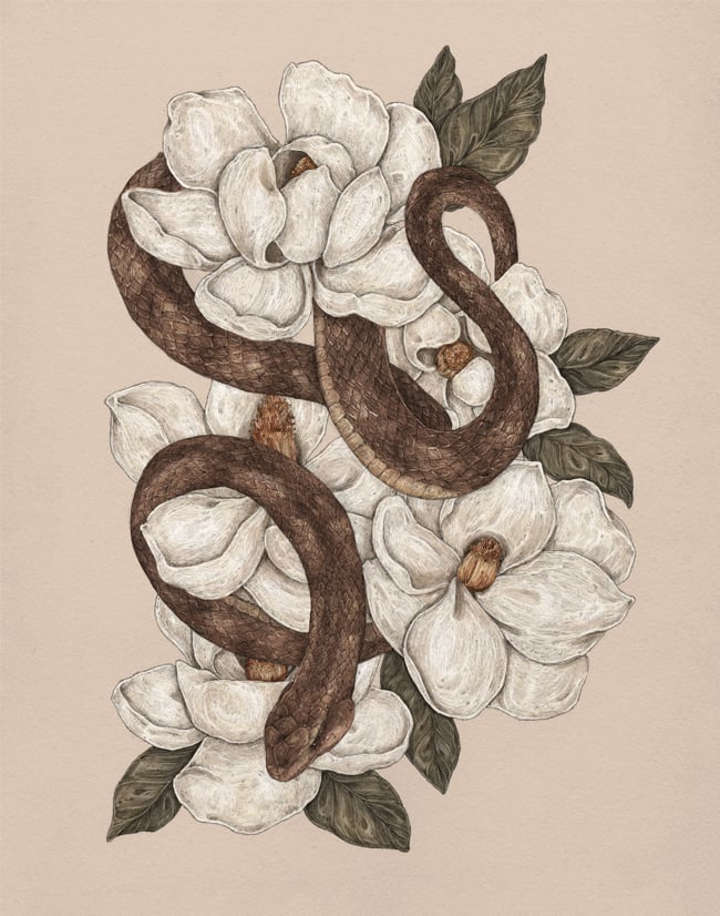 Image of Snake and Magnolias Print