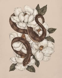 Snake and Magnolias Print