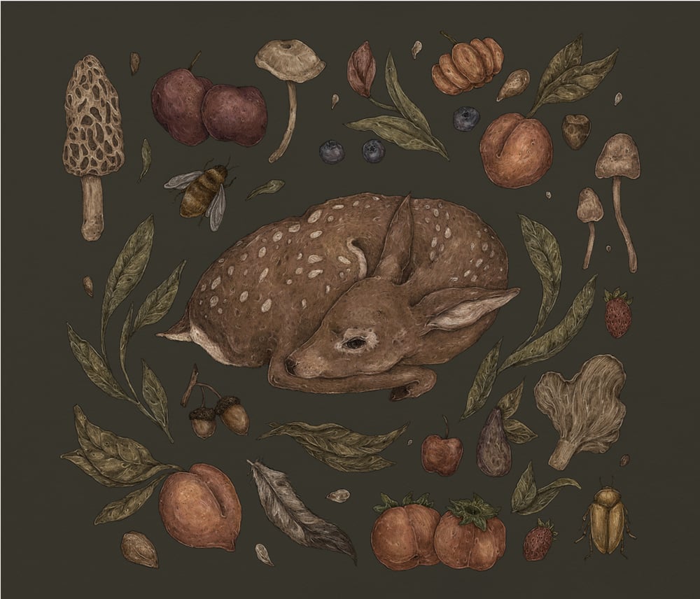 Image of Foraging Fawn Print