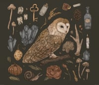 Harvest Owl Print