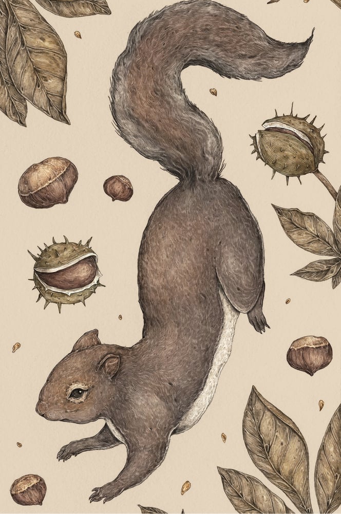 Image of The Squirrel and Chestnuts Print