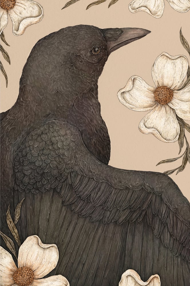 Image of The Crow and Dogwoods Print
