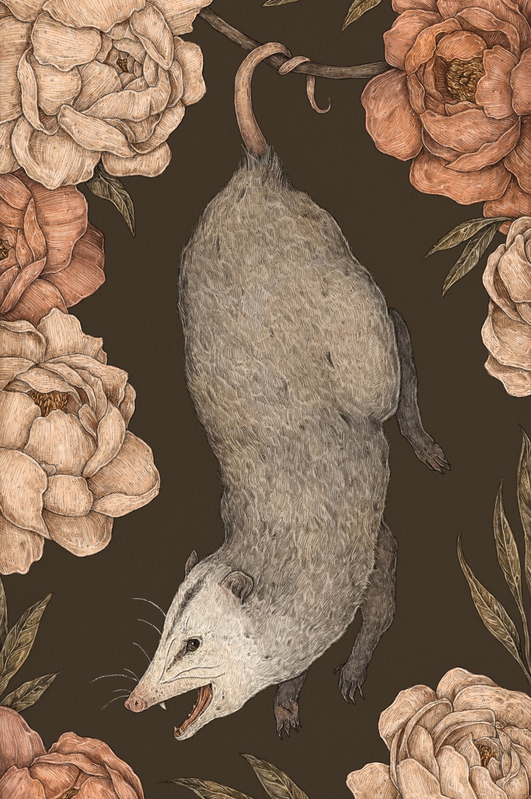 Image of The Possum and Peonies Print