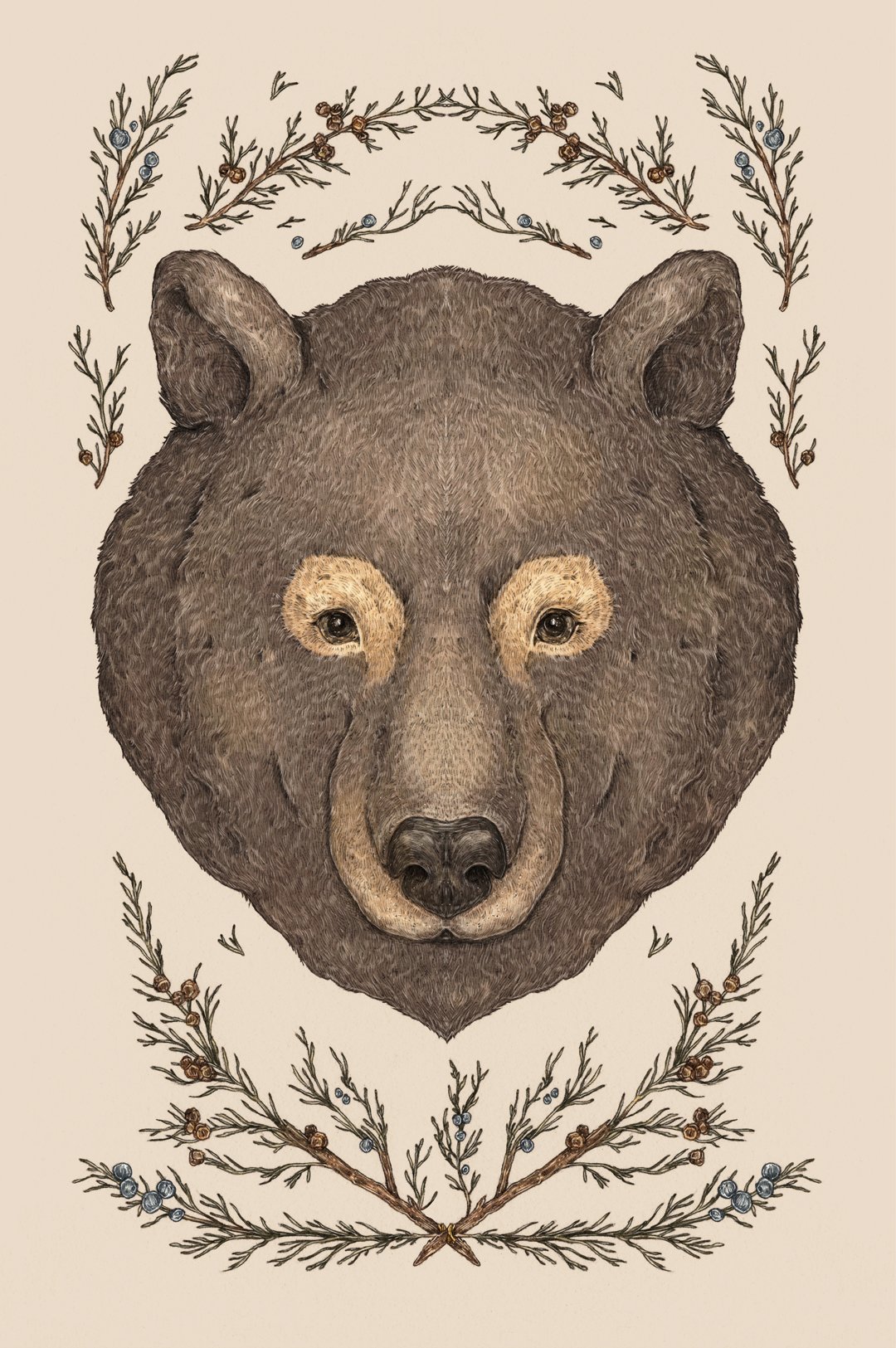 Image of The Bear and Cedar Print