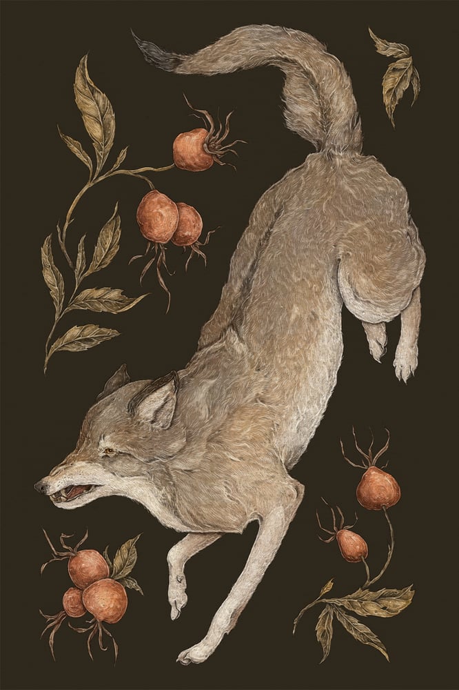 Image of The Wolf and Rose Hips Print