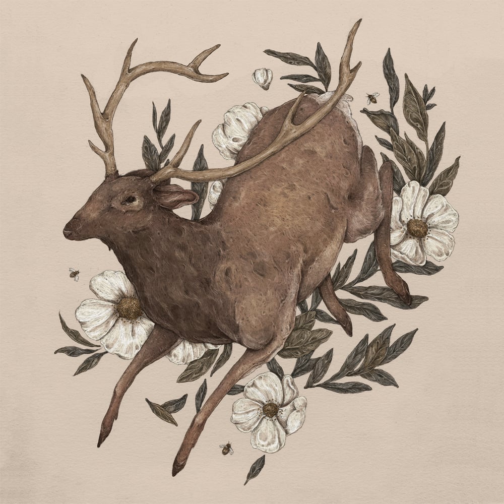 Image of Floral Elk Print