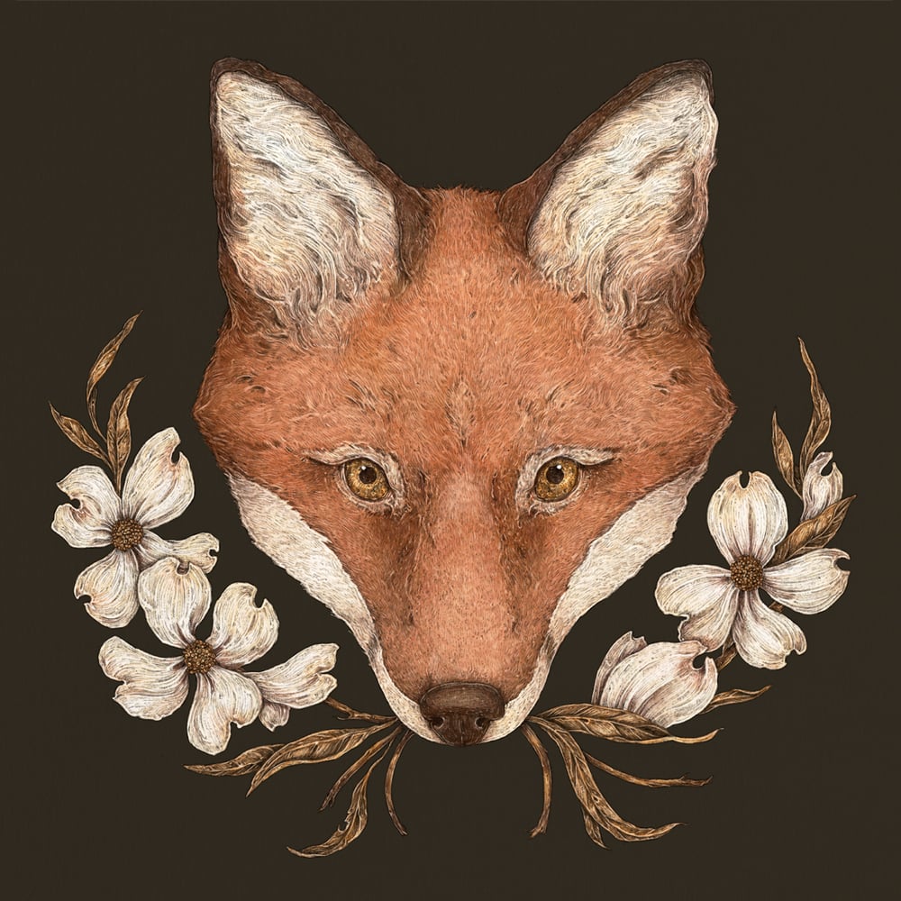 Image of The Fox and Dogwoods Print