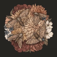 Dahlias and Moths Print