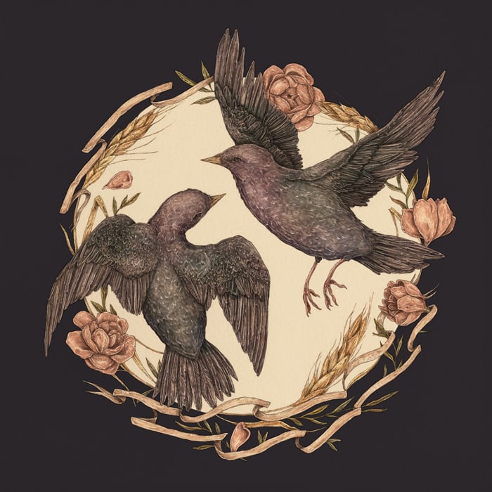 Image of Starlings Print