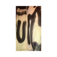 Image 2 of Spray Bombed Champion Shorts