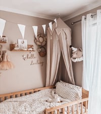 Image 20 of Cottontail